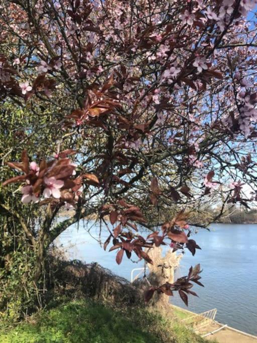 Apartmán Les Bambous Poissy Exteriér fotografie